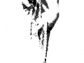 anoushiravan_mani_g1.jpg